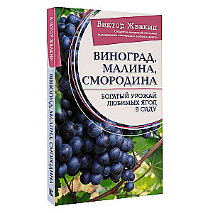 Виноград, малина, смородина. Богатый урожай любимых ягод в саду