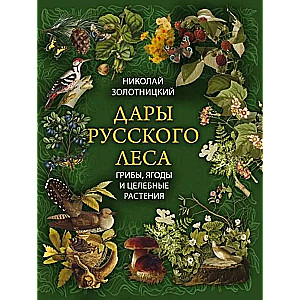 Дары русского леса. Грибы ягоды и целительные растения