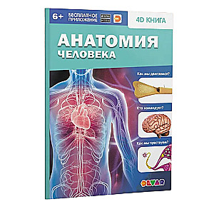 4D книга Анатомия человека