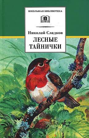 Лесные тайнички