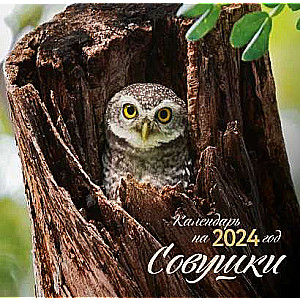 Совушки. Календарь настенный на 2024 год 300х300 мм