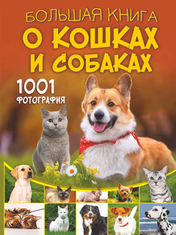 Большая книга о кошках и собаках. 1001 фотография