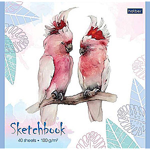 Premium Блокнот SketchBook 40л А5ф 165х165мм 