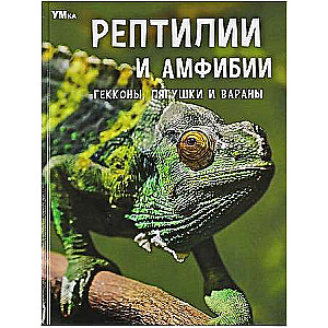 Рептилии и амфибии. Гекконы, лягушки и вараны. Энциклопедия