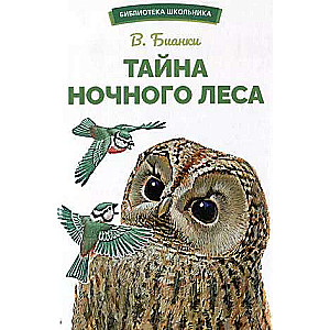 Тайна ночного леса