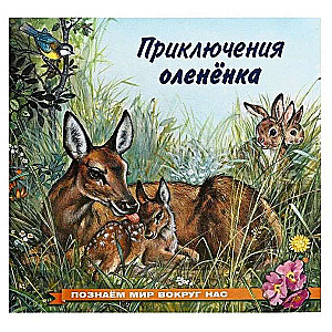 Приключения олененка