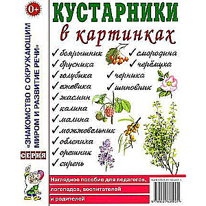 Кустарники в картинках. Наглядное пособие для педагогов, логопедов, воспитателей и родителей. 