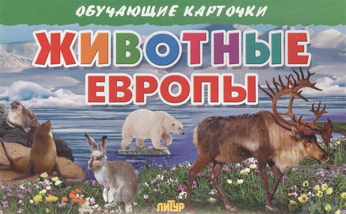 Обучающие карточки. Животные Европы