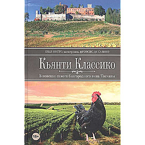 Кьянти Классико: В поисках самого благородного вина Тосканы