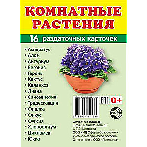 Набор карточек Комнатные растения. 16 раздаточных карточек с текстом