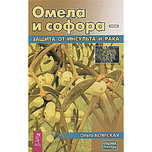 Омела и софора - защита от инсульта и рака 