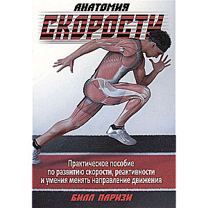 Анатомия скорости