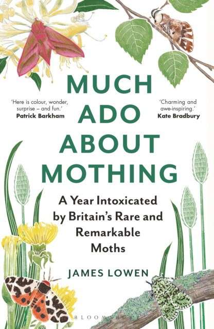 Much Ado About Mothing 