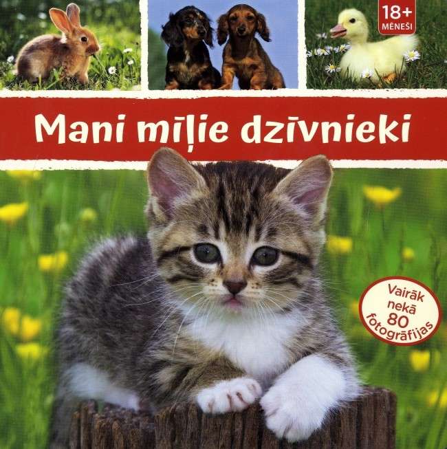 Mani mīļie dzīvnieki