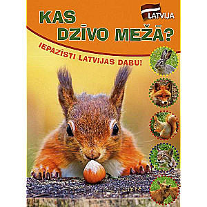 Iepazīsti Latvijas dabu! Kas dzīvo mežā?