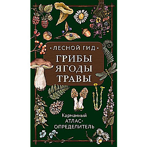 Лесной гид: грибы, ягоды, травы. Карманный атлас-определитель