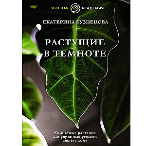 Растущие в темноте. Комнатные растения для укромных уголков вашего дома