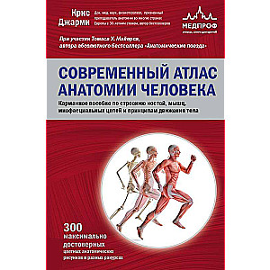 Современный атлас анатомии человека. Карманное пособие по строению костей, мышц...