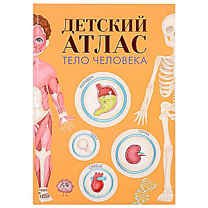 Детский атлас. Тело человека