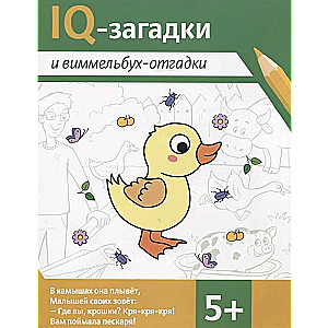 IQ-загадки и виммельбух-отгадки: 5+