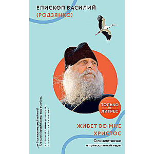 Живет во мне Христос. О смысле жизни и православной веры