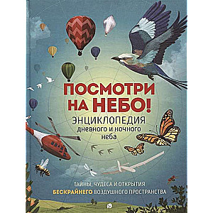 Посмотри на небо! Энциклопедия дневного и ночного неба