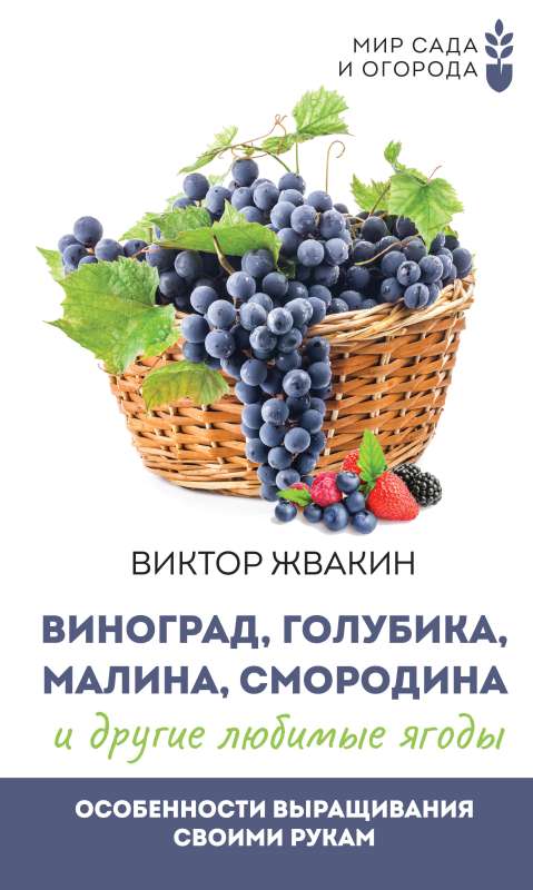 Виноград, голубика, малина, смородина и другие любимые ягоды. Особенности выращивания своими руками