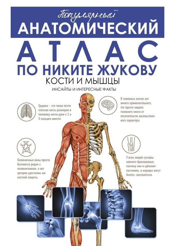 Популярный анатомический атлас по Никите Жукову: кости и мышцы. Инсайты и интересные факты