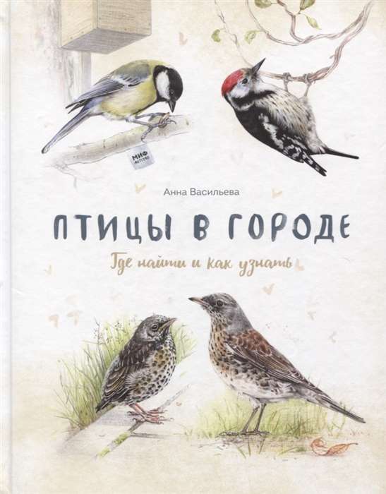 Птицы в городе. Где найти и как узнать