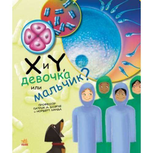 X и Y, девочка или мальчик? 