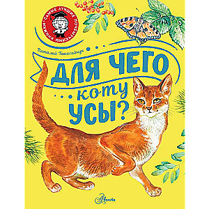 Для чего коту усы?