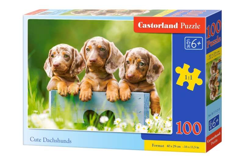 Пазл Cute Dachshunds 100 дет.