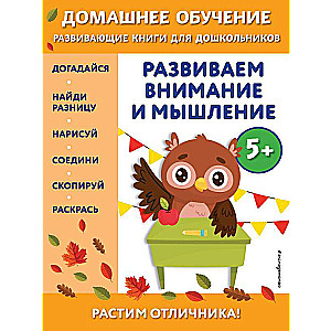 Развиваем внимание и мышление: для детей от 5 лет