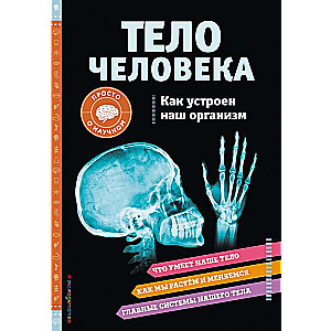 ТЕЛО ЧЕЛОВЕКА. Как устроен наш организм