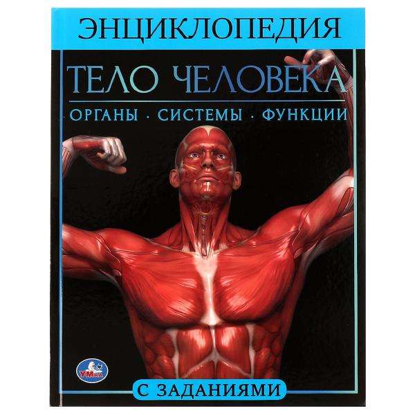 Тело человека. Органы, системы, функции