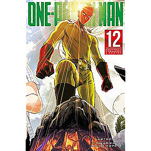 One-Punch Man. Книга 12. Оригинал и подделка. Жертва