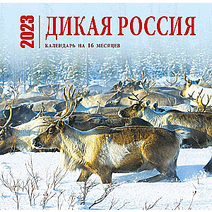 Дикая Россия. Календарь настенный на 16 месяцев на 2023 год 300х300 мм