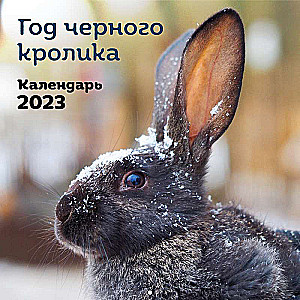 Год черного кролика. Календарь настенный на 2023 год 300х300