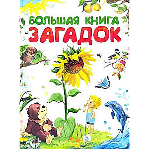 Большая книга загадок