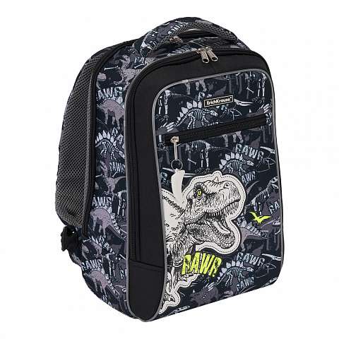 Рюкзак 44x21x29см, 540гр, 18 L ErichKrause Ergo Lin Urban Dinosaur Park