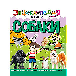 Собаки