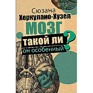 Мозг. Такой ли он особенный?