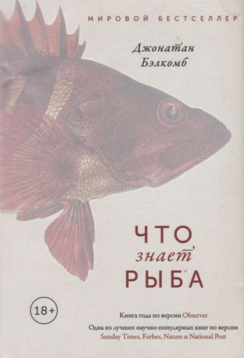 Что знает рыба. Внутренний мир наших подводных собратьев