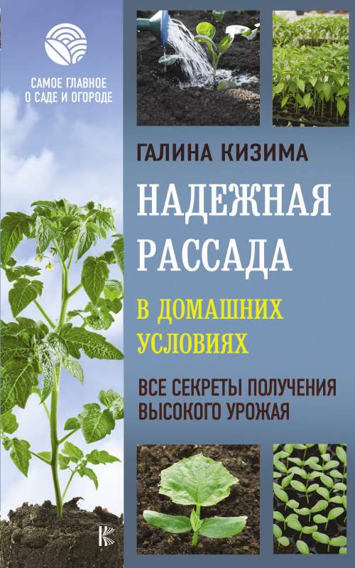 Надежная рассада в домашних условиях. Все секреты получения высокого урожая