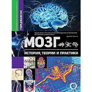 Мозг. История, теории и практики
