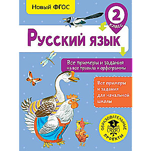 Русский язык. Все примеры и задания на все правила и орфограммы. 2 класс