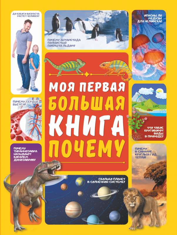 Моя первая большая книга ПОЧЕМУ