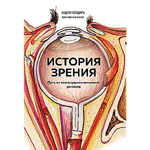 История зрения: путь от светочувствительности до глаза