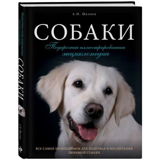 Собаки