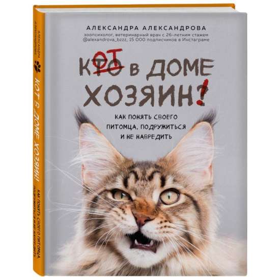 Кот в доме хозяин! Как понять своего питомца, подружиться и не навредить